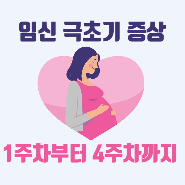 임신 극초기 증상