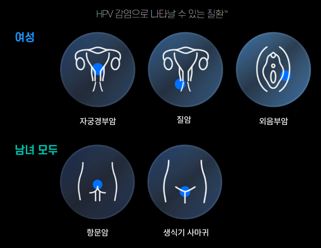 가다실9가 남자도 맞아야하는 이유