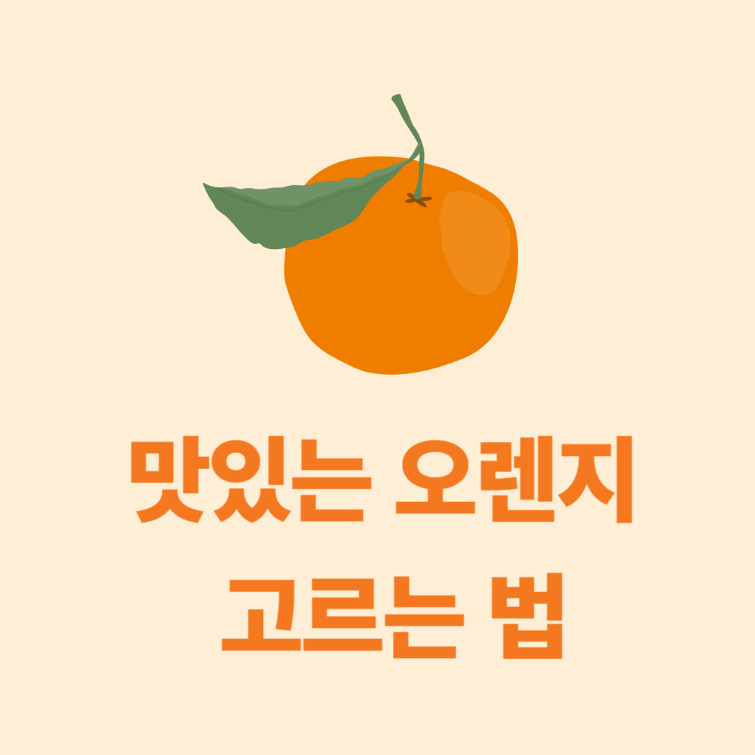 오렌지